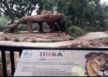 Polemik Bandung Zoo, Folmer Minta Pemkot Bandung Hormati Proses Persidangan