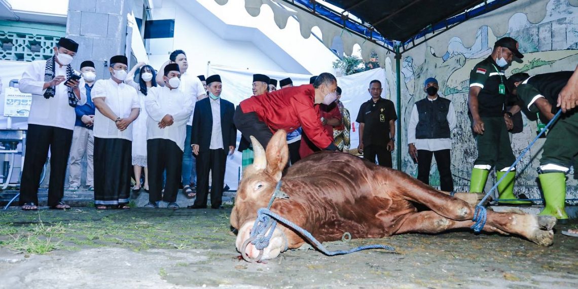 Idul Adha 1443H, Pemkot Bandung Tebar 145 Hewan Kurban