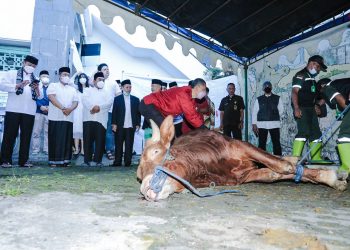 Idul Adha 1443H, Pemkot Bandung Tebar 145 Hewan Kurban
