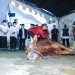 Idul Adha 1443H, Pemkot Bandung Tebar 145 Hewan Kurban