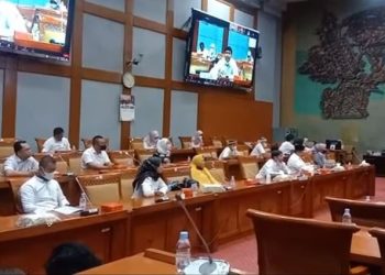 Problematika Guru PPPK