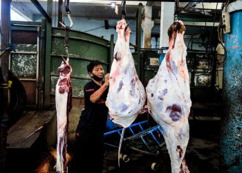 Jangan Satukan Daging dan Jeroan Dalam Satu Wadah, Bisa Fatal Akibatnya