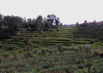 Luas Lahan di Kabupaten Bandung Berkurang hanya dalam Waktu Dua Tahun, Wakil Rakyat Kaget