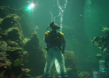 Sambut Hari Batik Nasional, Sea World Ancol Lakukan Fashion Show Bawah Air