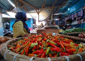 Pasokan Berkurang, Harga Cabai Rawit Merangkak Naik