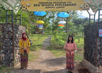 Kembangkan Edu Wisata Lebah Madu Gunung Guntur, PLN Gelontorkan Rp350 Juta