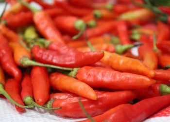 Tak Banyak yang Tahu, Ini Dia 7 Fakta Tentang Cabai