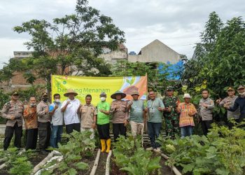 Perkuat Ketahanan Pangan, Rancasari Punya Kawasan Kampung Cengek dan Mangga