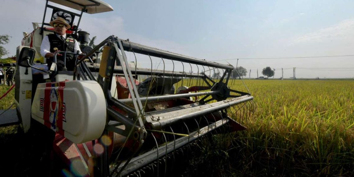 Jabar Bersiap Hadapi Potensi Krisis Pangan Tahun 2023