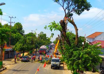 Hadapi Cuaca Ekstrem, Ini Imbauan PLN untuk Jaga Keselamatan Pelanggan