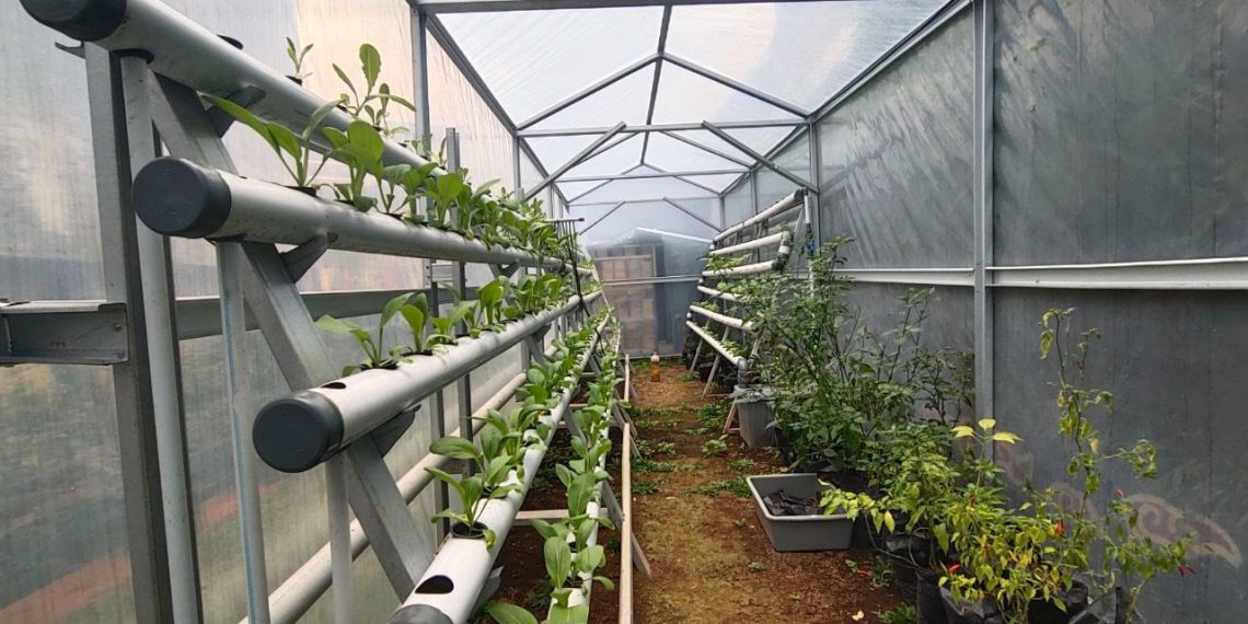 Sulap Lahan Kosong Jadi Rumah Edukasi Masyarakat