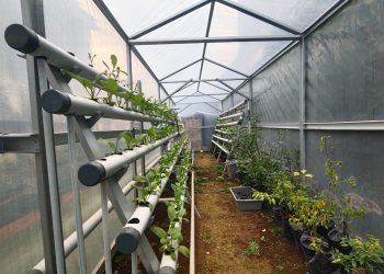 Sulap Lahan Kosong Jadi Rumah Edukasi Masyarakat