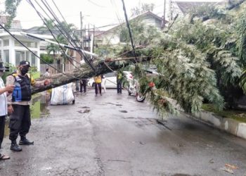 Masuki Musim Penghujan, Warga Diimbau Hindari Parkir di Bawah Pohon