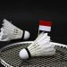 Istilah dalam Badminton