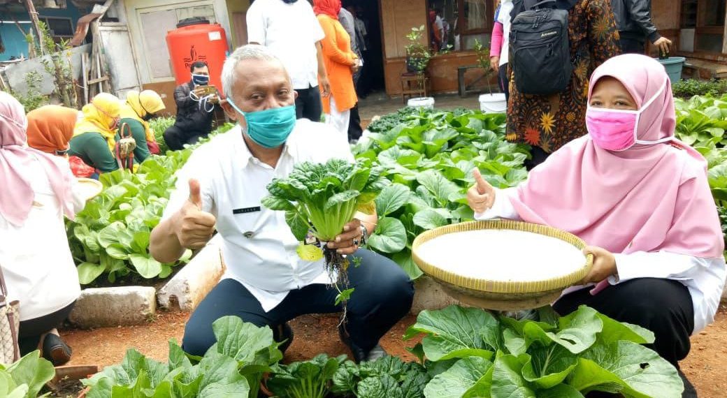 Hadapi Krisis Pangan dan Resesi, Bandung Masifkan Buruan Sae