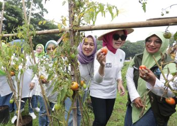 Atalia Ajak Kader PKK Tingkatkan Kapasitas dan Kekompakan