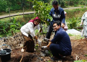 SBM ITB dan PT Indonesia Power Tanam Pohon Produktif dan Tebar Bibit Ikan