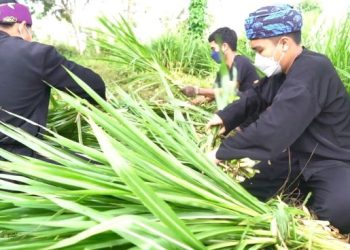 Mengusung Program Creating Share Value: Bio Farma Bina Peternak Milenial