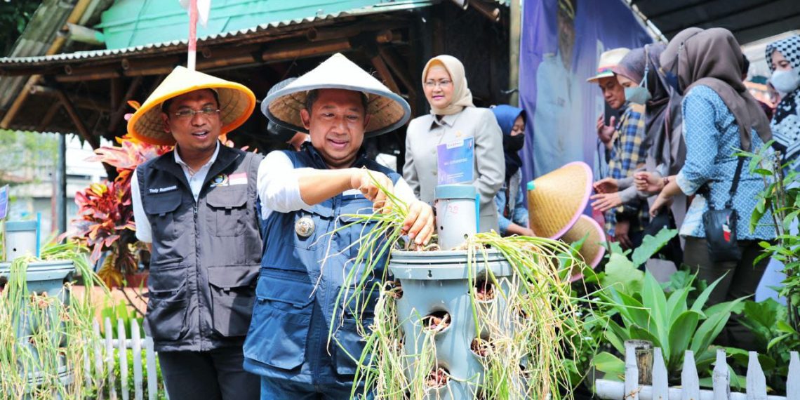 Perdana, Bandung Panen Raya Bawang Merah
