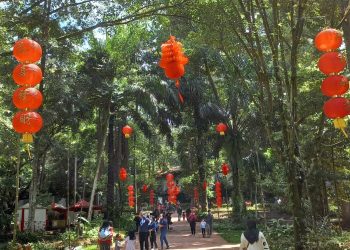 Imlek, Bandung Zoo Gelar Pertunjukan Barongsai