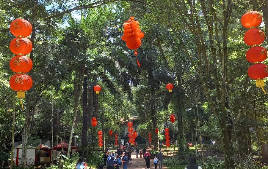 Imlek, Bandung Zoo Gelar Pertunjukan Barongsai