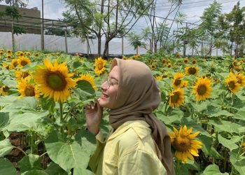 Taman Bunga Matahari PVJ Rooftop Garden