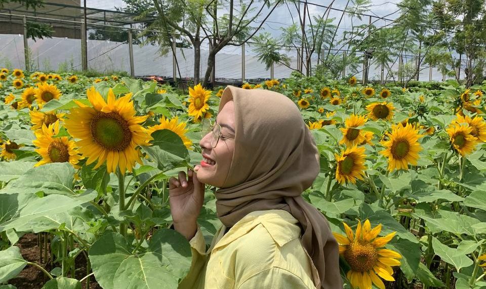 Taman Bunga Matahari PVJ Rooftop Garden