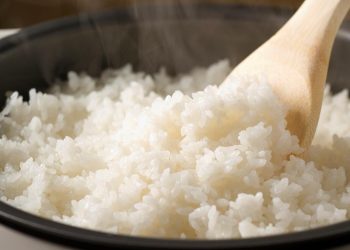 Ini  Manfaat Nasi Matang Yang Diaduk