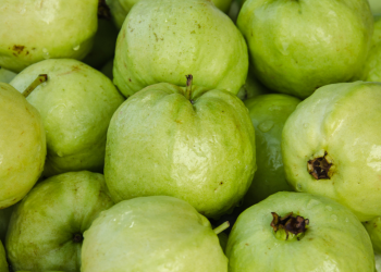 Populer di Indonesia, inilah Jambu Kristal dan Kandungan Nutrisi bagi Kesehatan