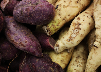 Mantaps!, inilah 7 Aneka Makanan yang dibuat dari Umbi-umbian