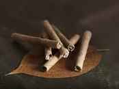 Ternyata Rokok Herbal Menyehatkan Tubuh, Lho