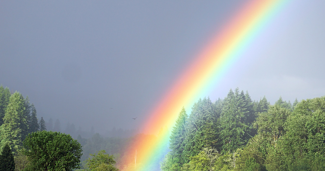 Inilah Proses Kemunculan Pelangi dan Jenisnya