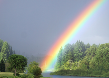 Inilah Proses Kemunculan Pelangi dan Jenisnya