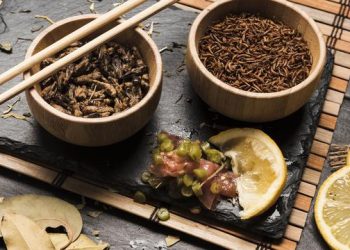 Selain Menjadi Kain Sutra, Ternyata Ulat Sutra Mempunyai Manfaat Lain, Lho