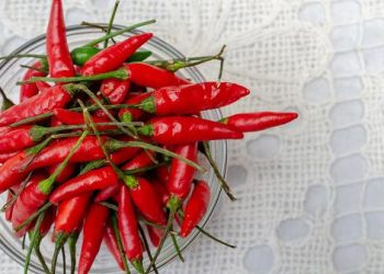 5 Manfaat Cabai Rawit bagi Kesehatan Tubuh