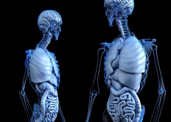 Inilah 4 Karakter Manusia, Kamu Termasuk yang Mana ?