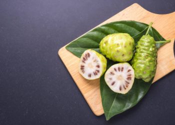 9 Manfaat Buah Mengkudu yang Jarang Diketahui