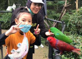 Zona Petting Zoo Segera Dibuka di Bandung Zoo