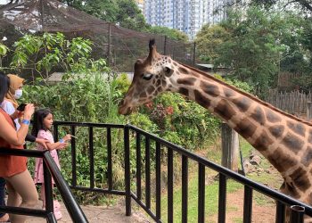 Yuk Manfaatkan Program Diskon 50 Persen Feeding di Bandung Zoo