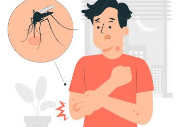 Waspada! Hari Ketiga Gejala Demam Turun, Banyak Mengecoh Pasien DBD