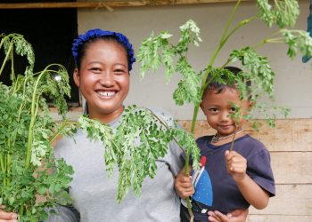 Tani Pekarangan, Langkah Konkret Mengatasi Kemiskinan