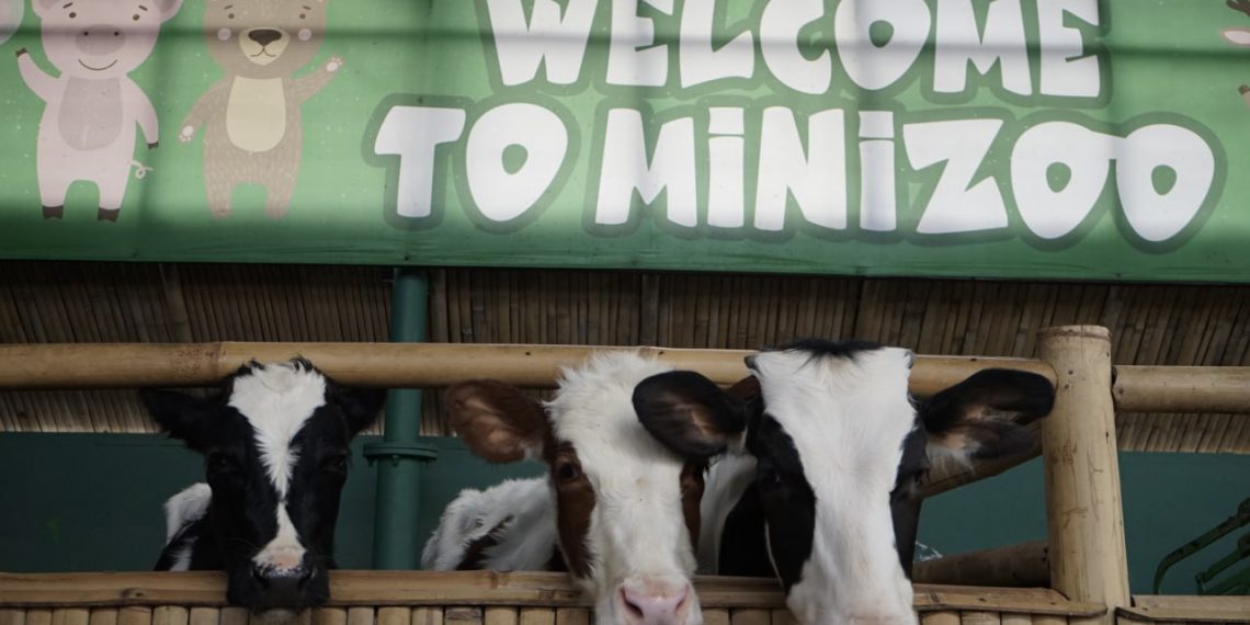 Mini Zoo, Jadi Tempat Favorit Tamu Hotel Grand Tjokro Bandung