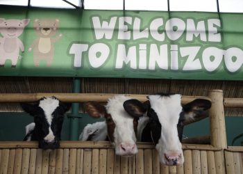 Mini Zoo, Jadi Tempat Favorit Tamu Hotel Grand Tjokro Bandung