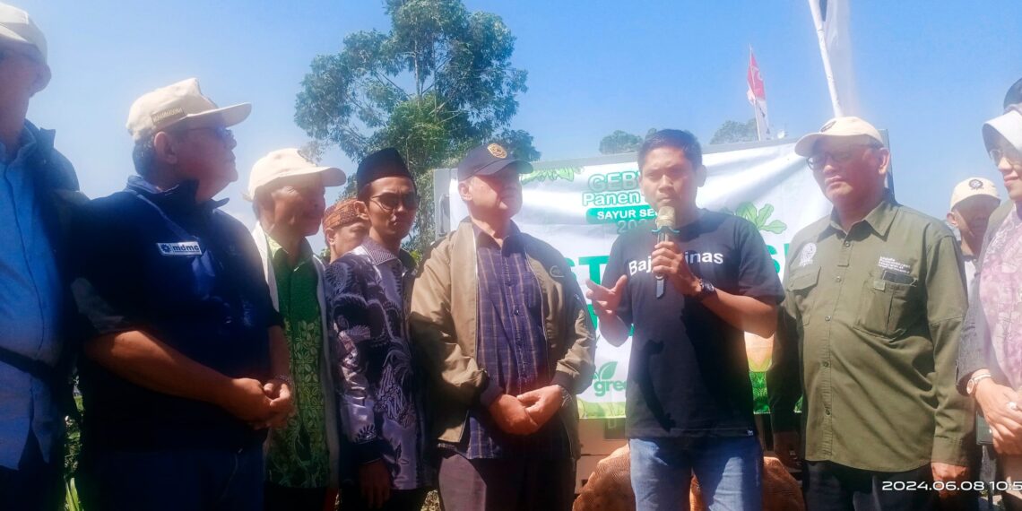 Panen Raya Sayur Sehat Muhammadiyah Meningkatkan Minat Bertani Generasi Muda
