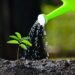 7 Tips Merawat Tanaman di Musim Kemarau Agar Tetap Subur dan Sehat