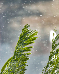 Prakiraan Cuaca Bandung Hari Ini