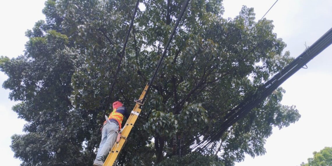 PLN Icon Plus Kembali Rapihkan dan Tata Kabel Fiber Optik di Kota Bandung