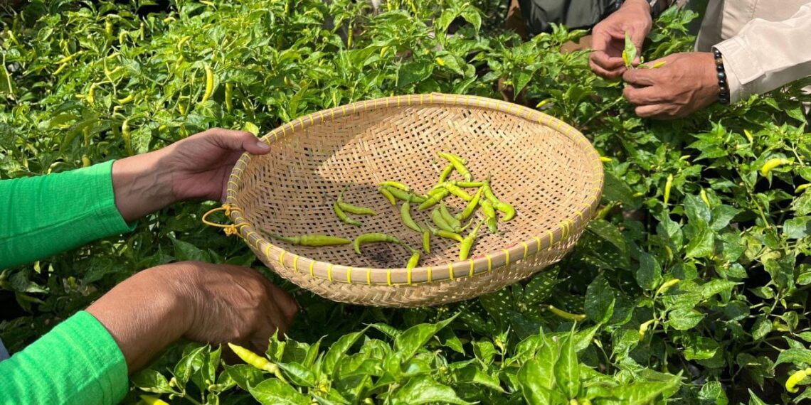 Andil Buruan Sae, Kota Bandung Terpilih Jadi Tuan Rumah ASEAN Summer School