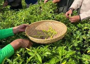 Andil Buruan Sae, Kota Bandung Terpilih Jadi Tuan Rumah ASEAN Summer School