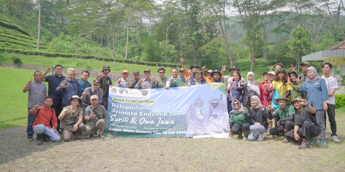 Bio Farma Lepasliarkan Owa Jawa dan Surili di Cagar Alam Gunung Tilu
